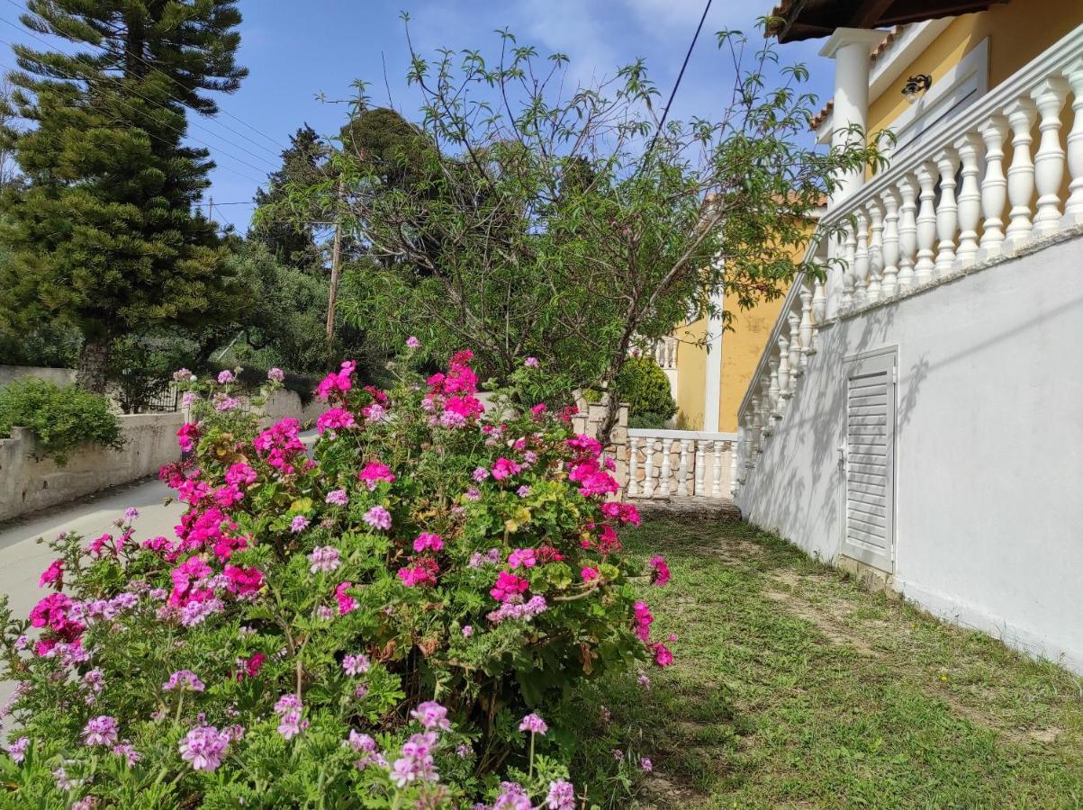 Stranis Hill House Zakinthos Βίλα Ακρωτήρι Εξωτερικό φωτογραφία